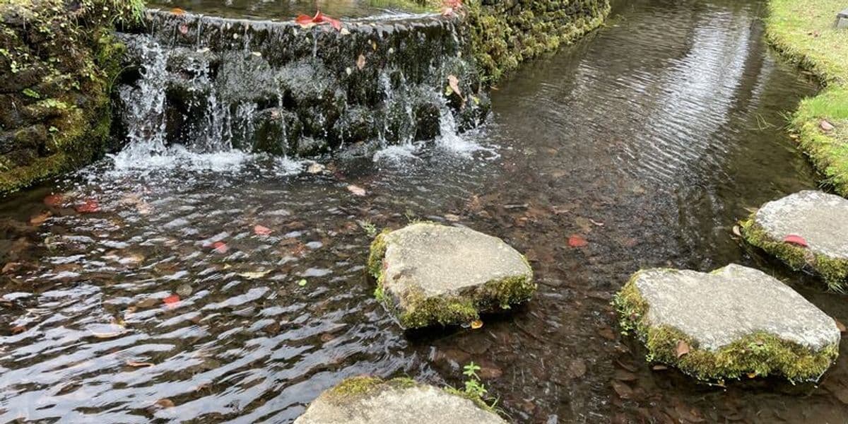 Japanese garden with water and stones